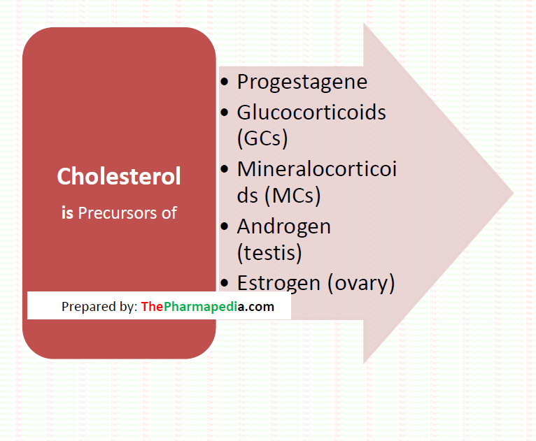 Precursors of Corticosteroids- Cholesterol, Pharmapedia