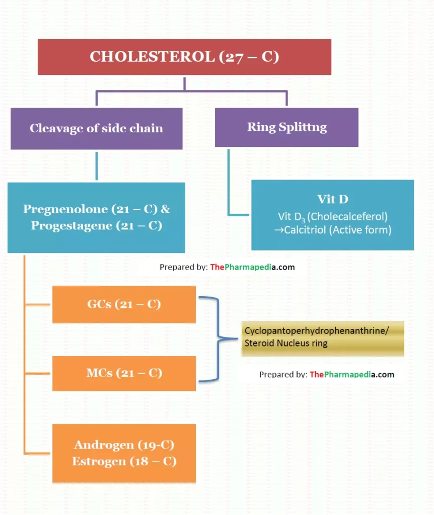 Biosynthesis of Corticoids, vitamin D & Sex Steroid from Cholesterol, Pharmapedia, The pHarmapedia