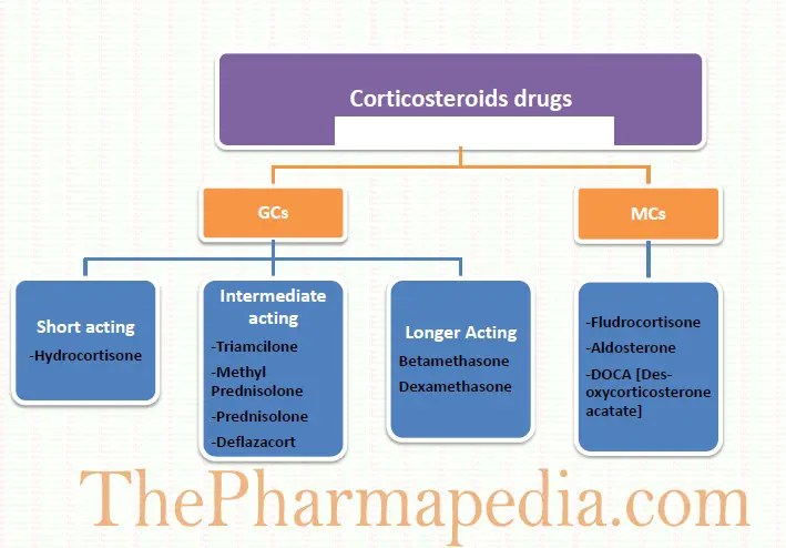 Corticosteroids Drugs, Pharmacology, Pharmacology, Glucocorticoids, Mineralocorticoids, Hydrocortisone, Betamethasone, Dexamathasone