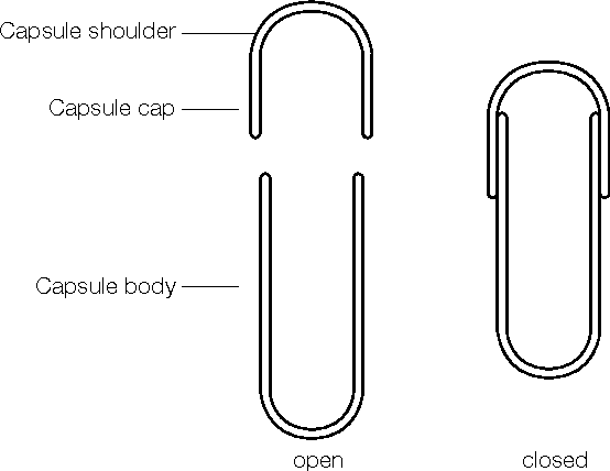 hard Gelatin Capsule, Pharmapedia