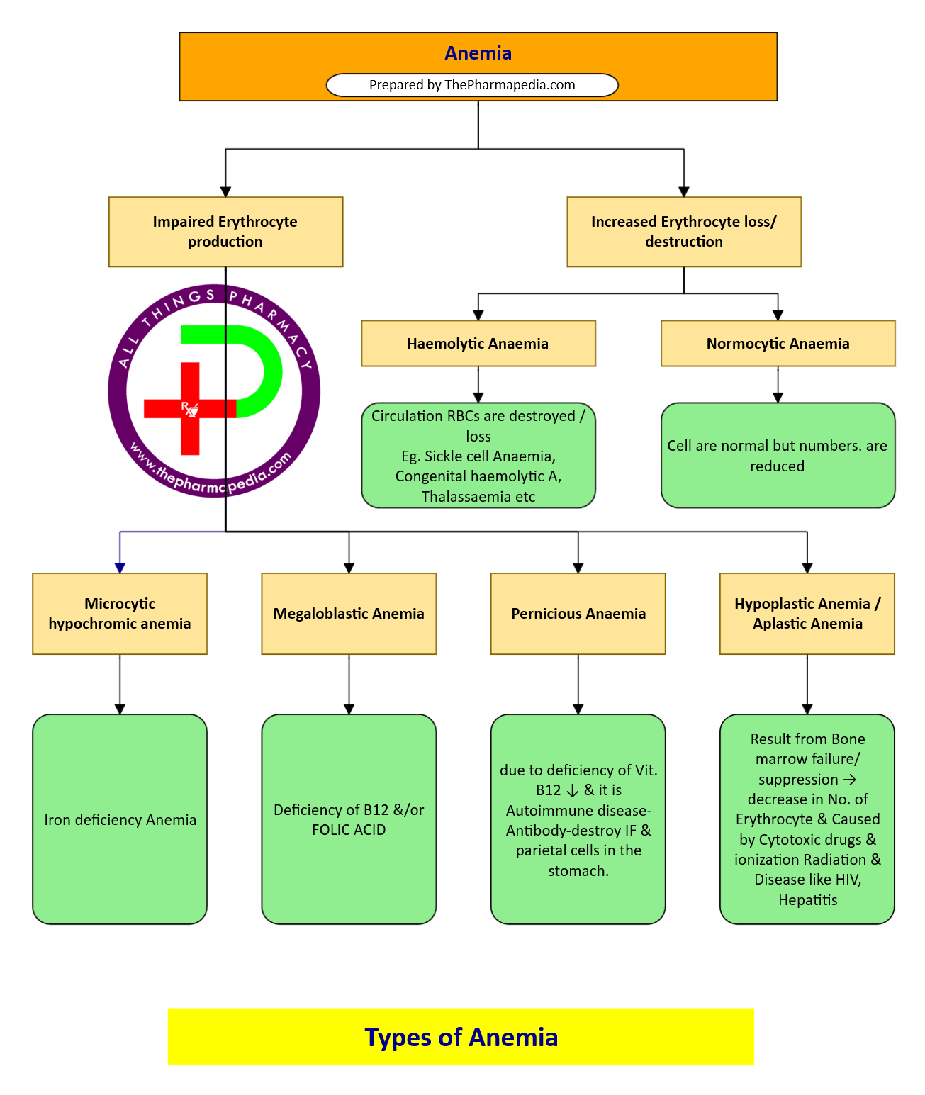Anemia, Type of Anemia, Pharmacology, anemia, types of anemia, iron deficiency anemia, vitamin B12 deficiency anemia, aplastic anemia, hemolytic anemia, sickle cell anemia, 