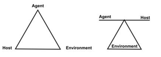 Epidemiologic triad, Concept of disease, Pharmapedia, ThePharmapedia, Pharmacy Notes, HECP