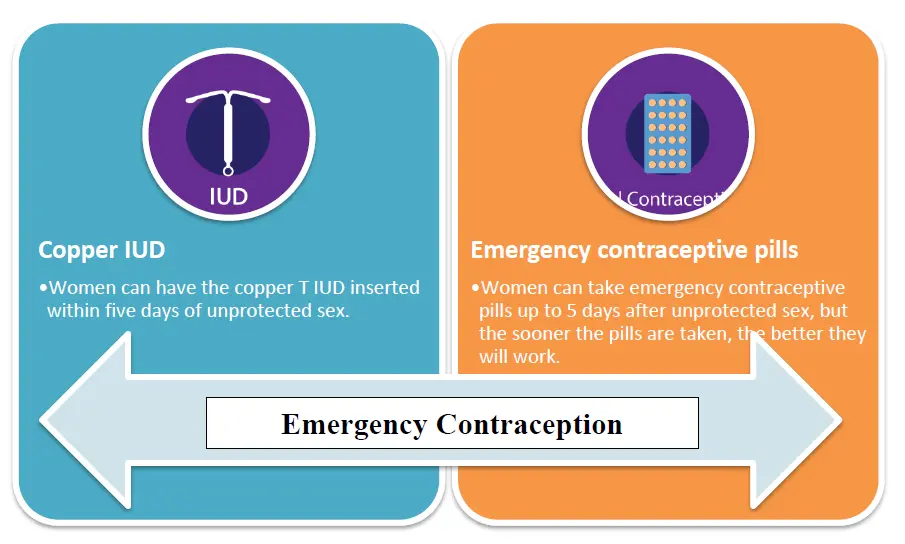 ECP, Emergency, Contraception, pharmapedia