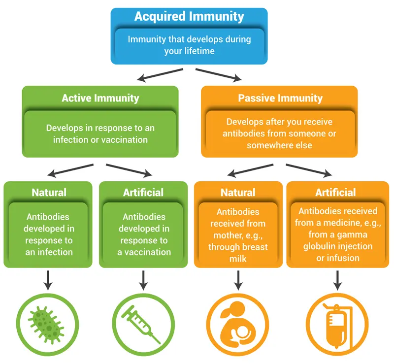 acquired immunity, microbiology, immunity