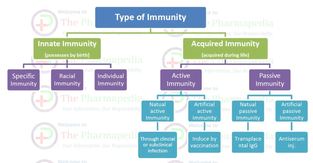 Type of Immunity, Microbiology, Pharmacy, Drug Inspector